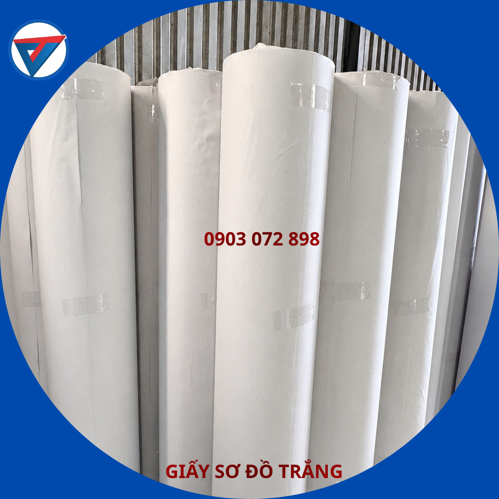 GIẤY SƠ ĐỒ TRẮNG 04