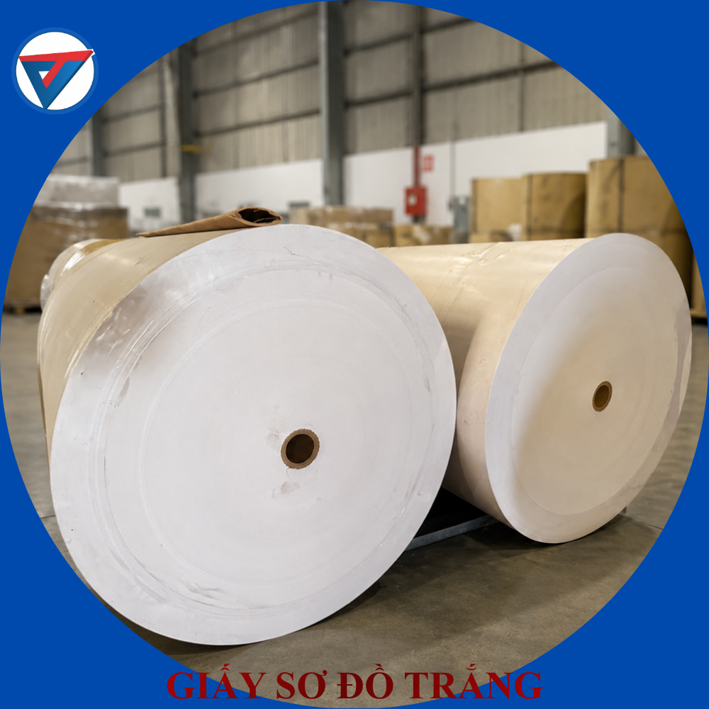 GIẤY SƠ ĐỒ TRẮNG 02