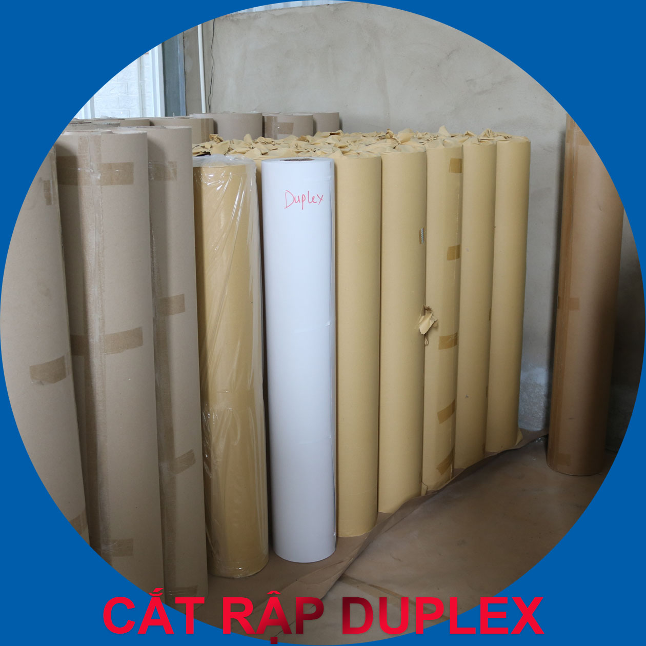 GIẤY CẮT RẬP DUPLEX