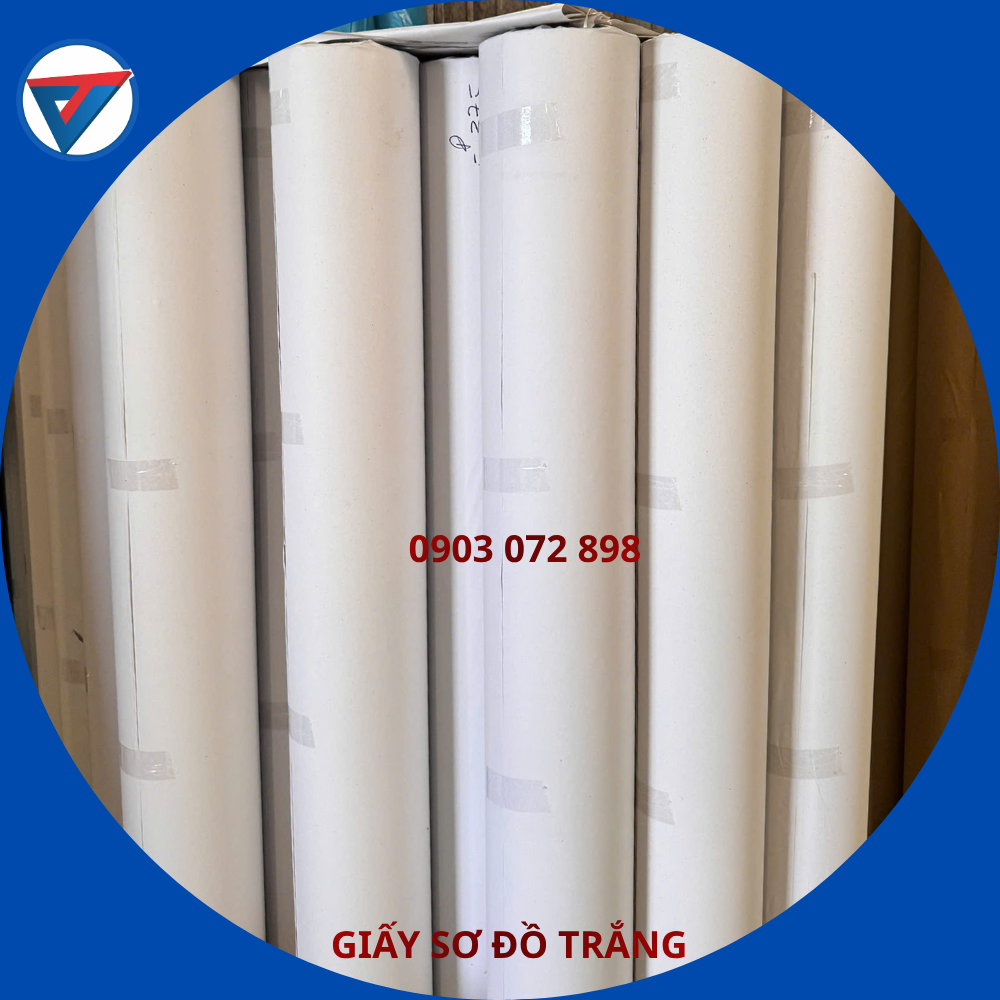 GIẤY SƠ ĐỒ TRẮNG 03
