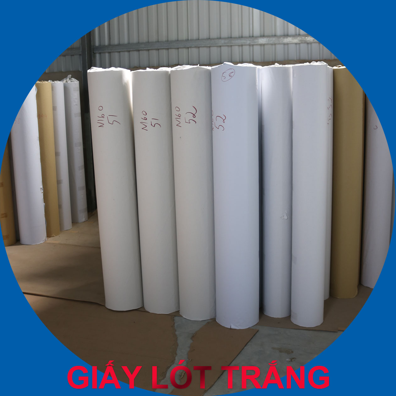GIẤY LÓT TRẮNG