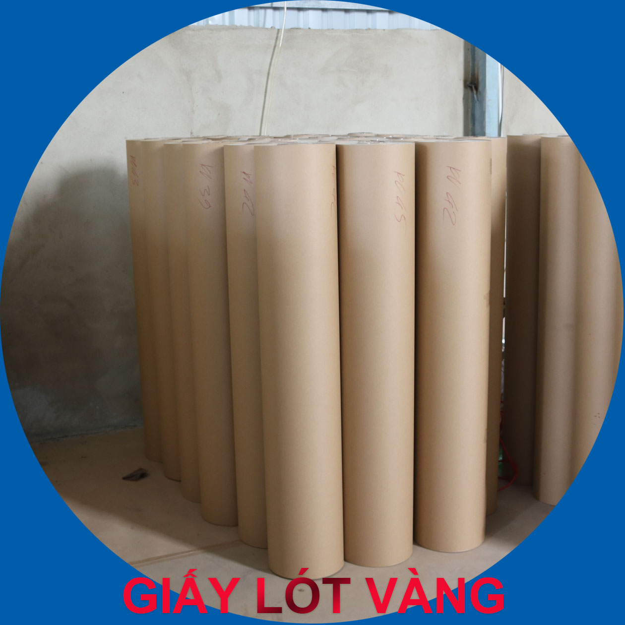 GIẤY LÓT VÀNG