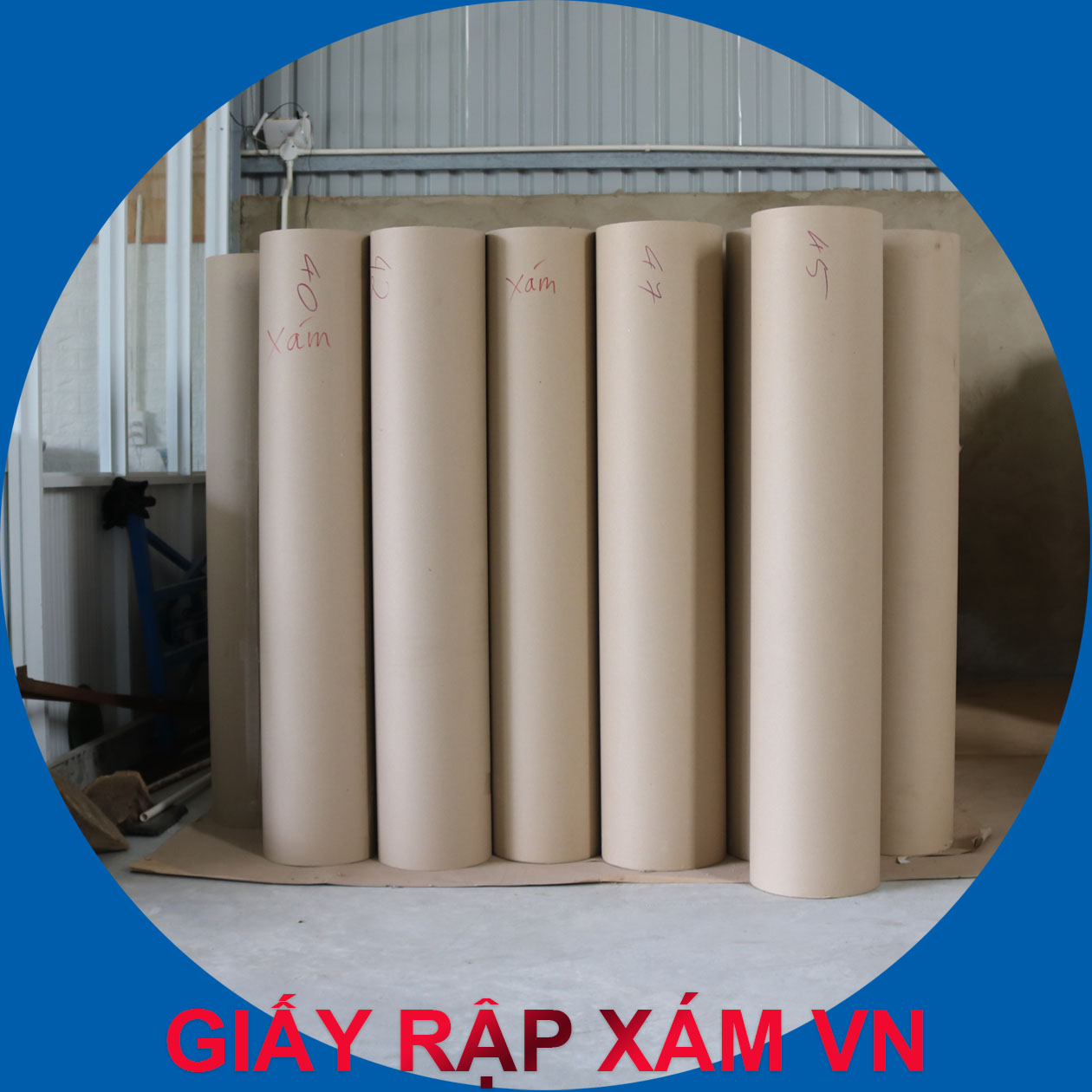 GIẤY RẬP XÁM VN