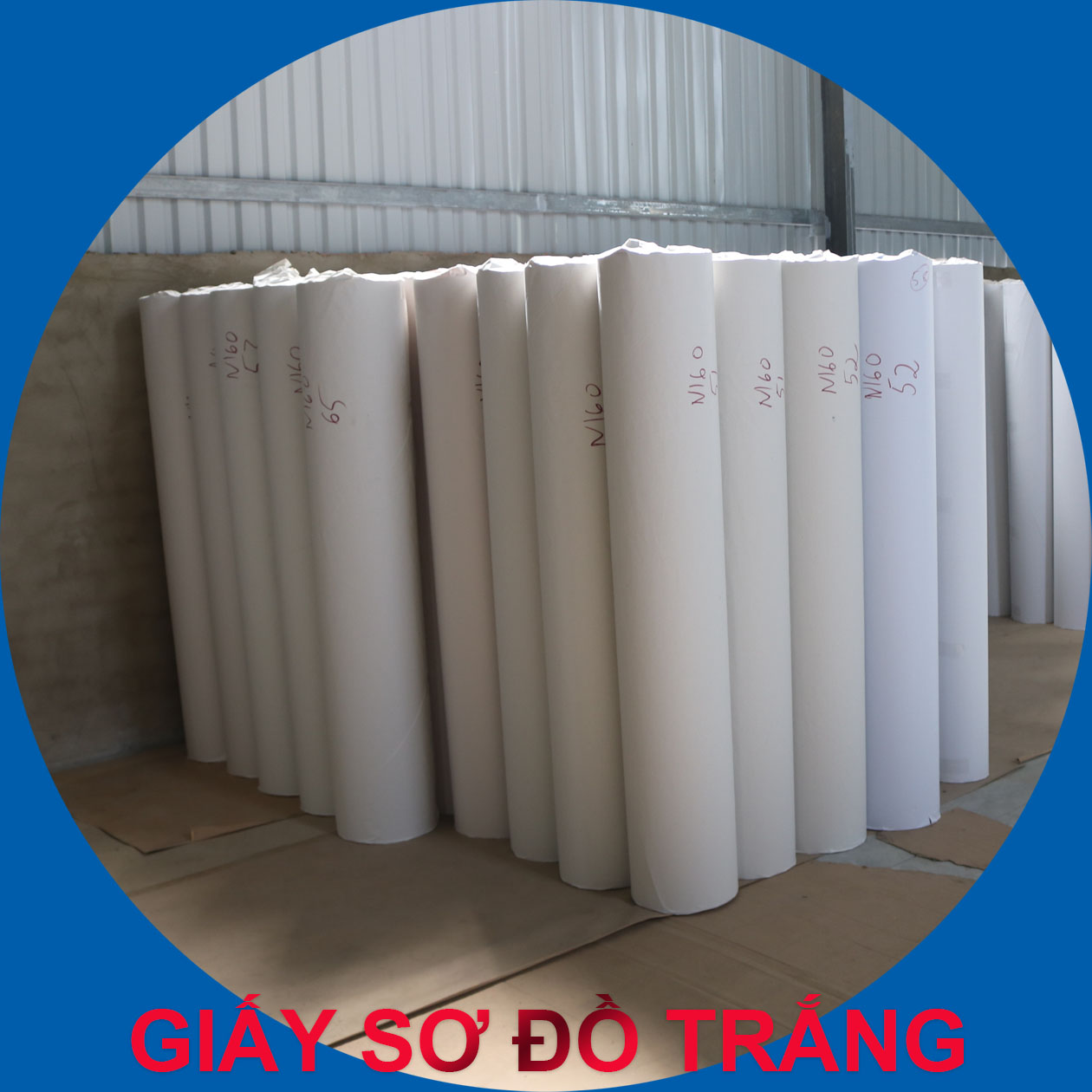 GIẤY SƠ ĐỒ TRẮNG