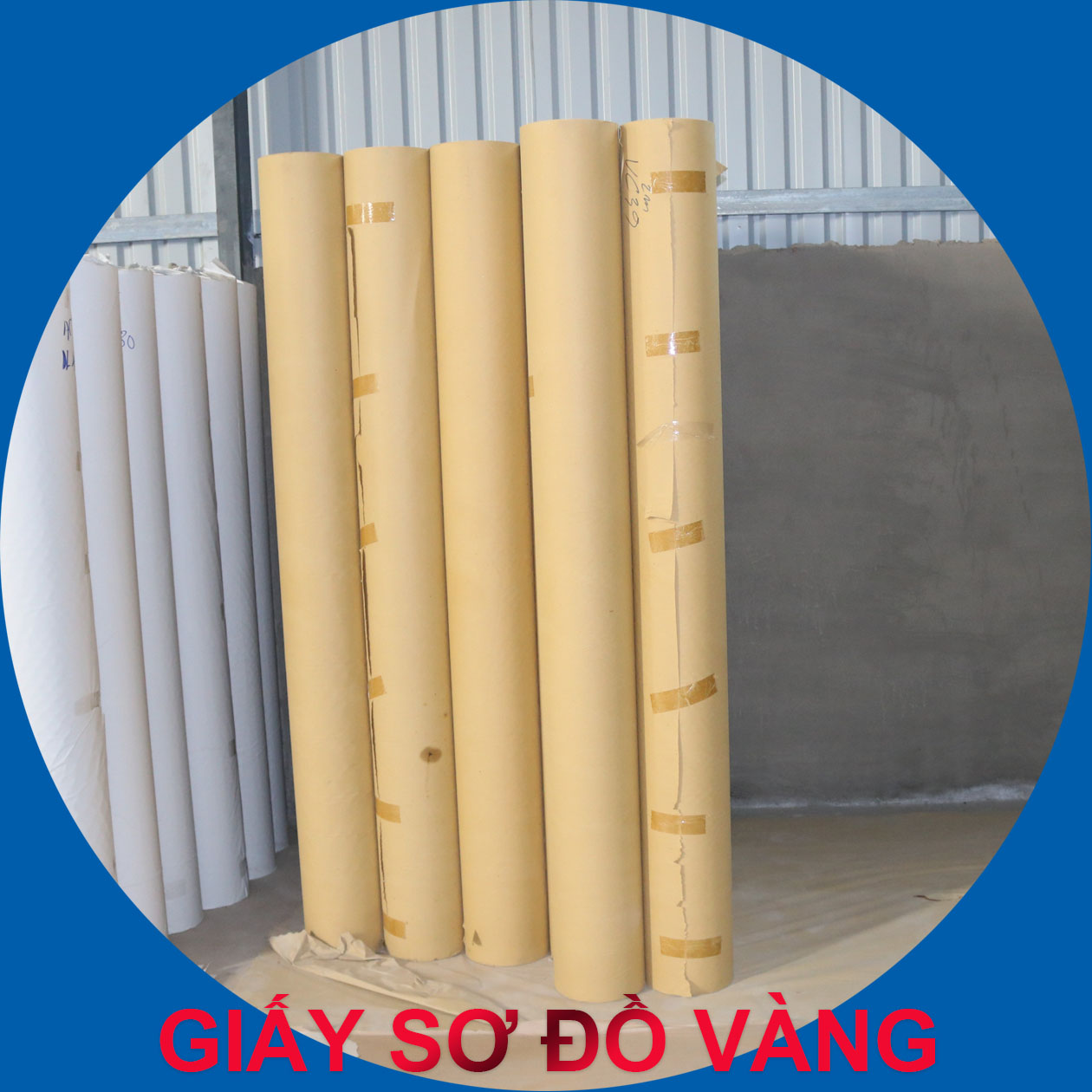 GIẤY SƠ ĐỒ VÀNG 