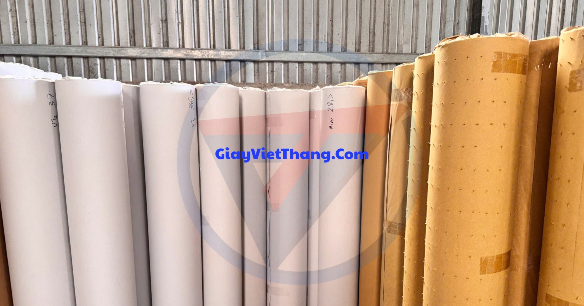 giấy việt thắng