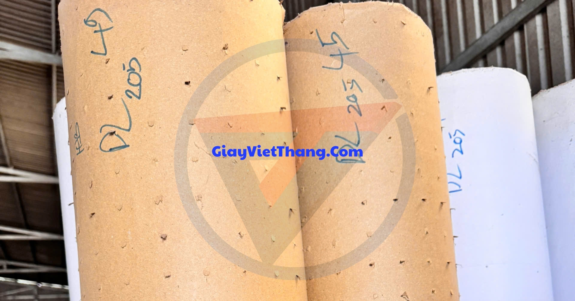 giấy đục lỗ trảng bàng tây ninh