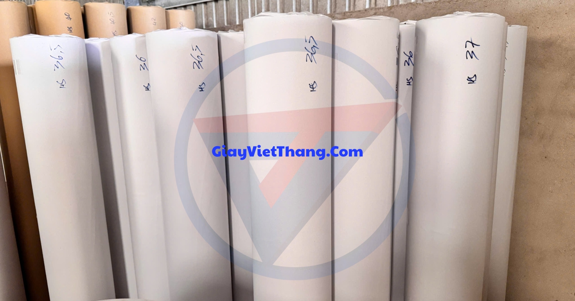 Giấy bông tại trảng bàng