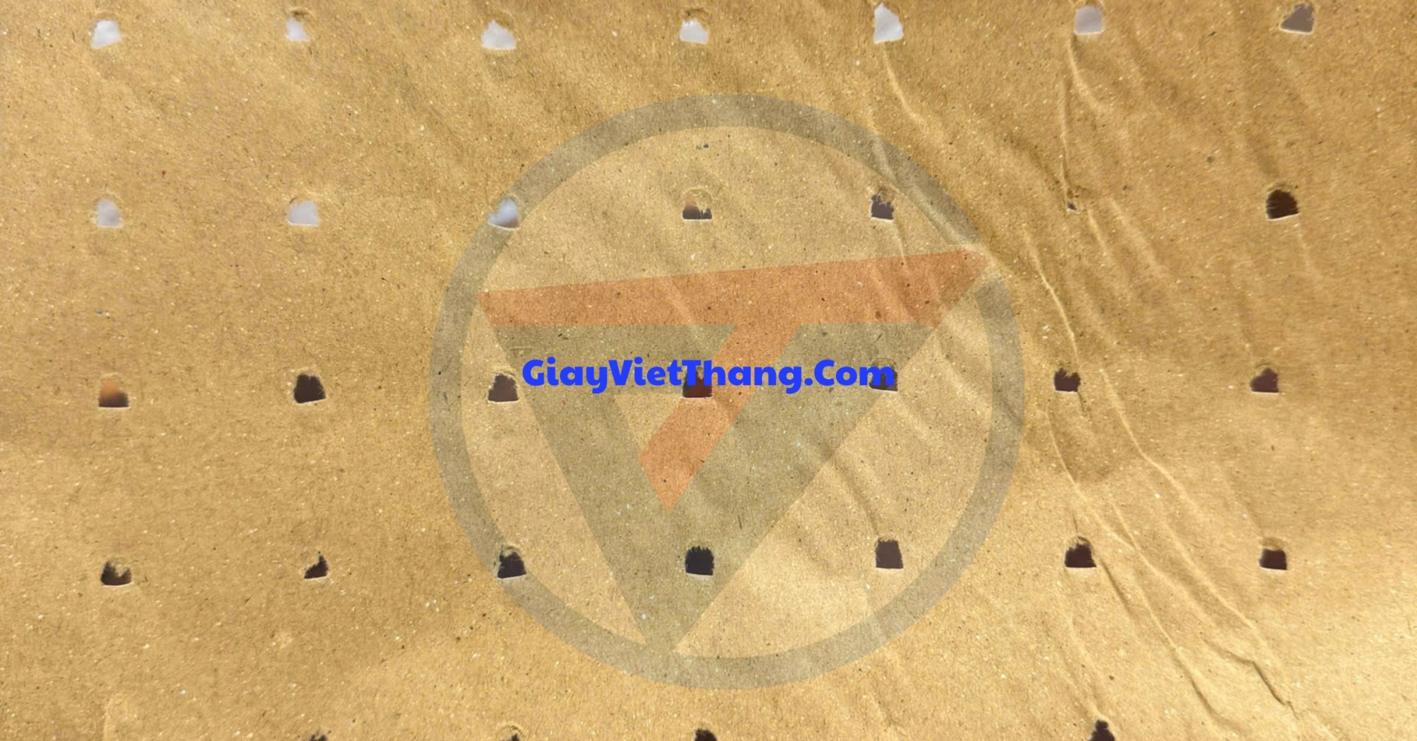 Giấy đục lỗ